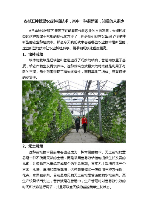 农村五种新型农业种植技术，其中一种很新颖，知道的人很少