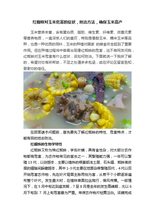 红蜘蛛对玉米危害的症状，防治方法，确保玉米高产