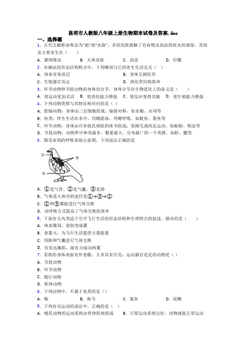 昆明市人教版八年级上册生物期末试卷及答案.doc