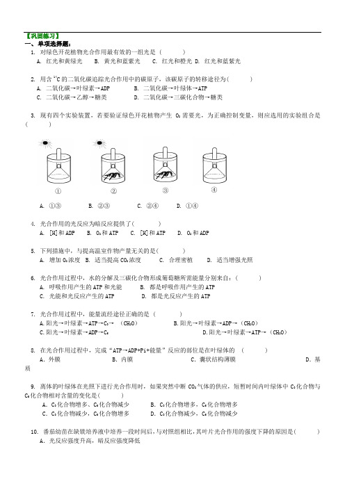 【人教版】高一生物必修一巩固练习(含答案)11光合作用(二)光合作用的原理和应用