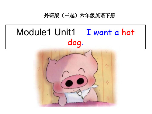 六年级下册英语课件-M1U1 I want a hot dog  _外研版(三起) (共18张PPT)