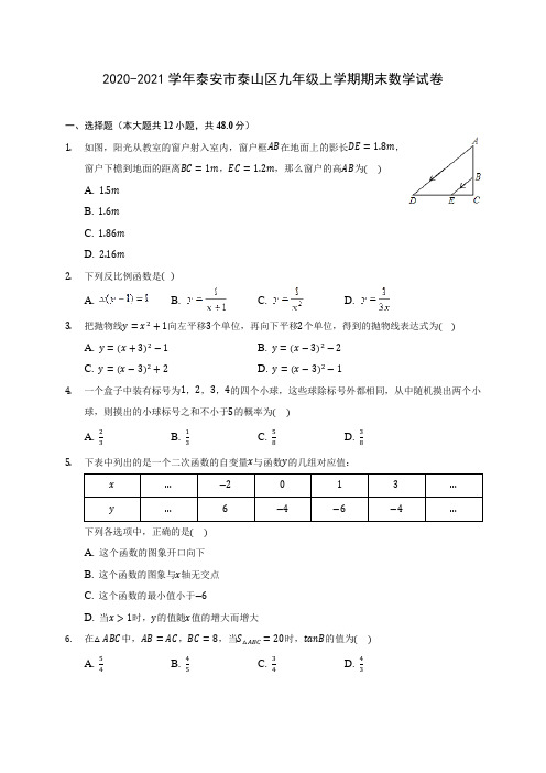 2020-2021学年泰安市泰山区九年级上学期期末数学试卷(含答案解析)