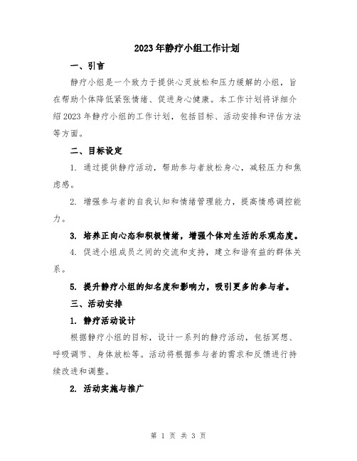 2023年静疗小组工作计划