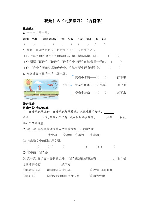 我是什么(同步练习)(含答案)