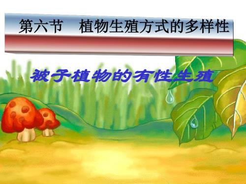 被子植物的有性生殖 PPT课件 苏教版