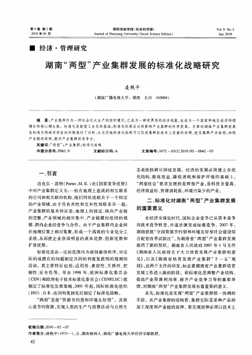 湖南“两型”产业集群发展的标准化战略研究
