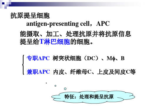 APC与抗原的处理及递呈