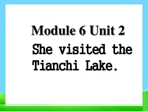 五年级下册英语课件-Unit2 She visited the Tianchi Lake(2)｜外研版(三起)  (共14张PPT)