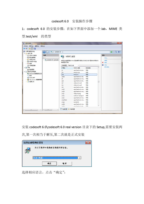 codesoft 6.0  安装操作步骤