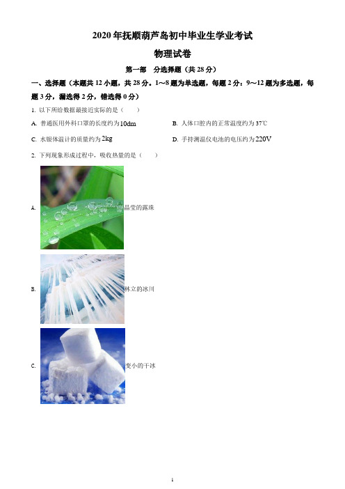 2020年辽宁省抚顺、葫芦岛市中考物理试题(含答案与解析)