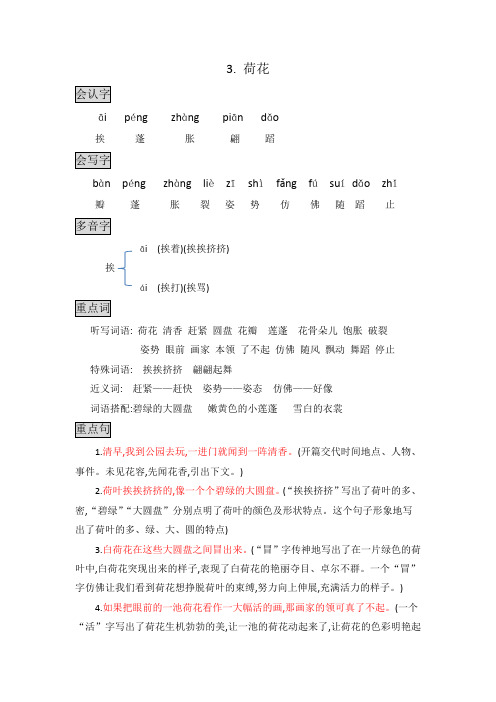 部编版三年级语文下册知识点总结课堂笔记3.荷花.docx