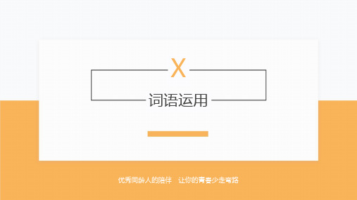 初中语文速成技巧：x-词语运用(PPT讲解版)