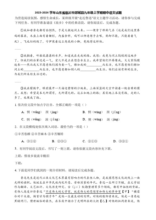 2023-2024学年山东省临沂市郯城县九年级上学期期中语文试题