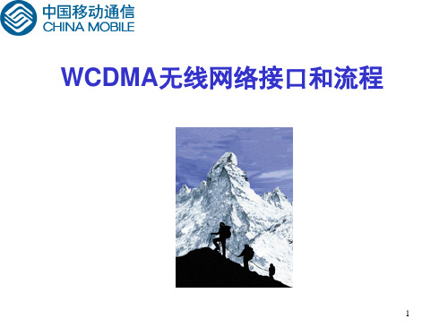 WA000105WCDMA无线网络接口和流程