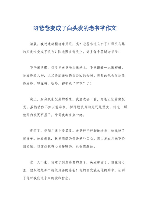 呀爸爸变成了白头发的老爷爷作文