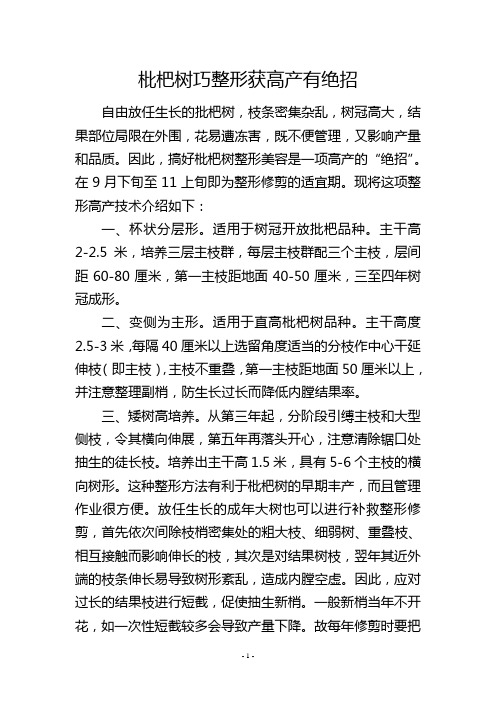 枇杷树巧整形获高产有绝招