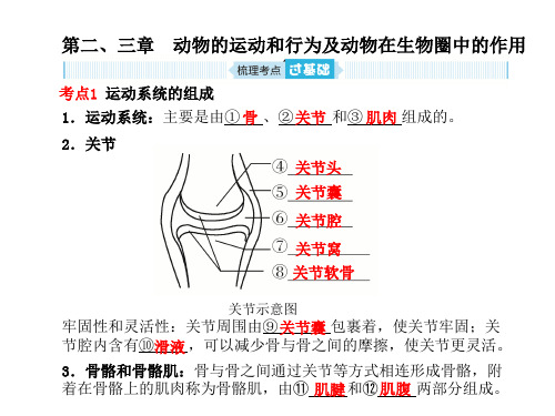 2019年中考生物总复习第五单元生物圈中的其他生物第二_三章课件4