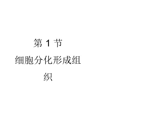 (北师大版)秋七年级上学期生物教学课件：4.1 细胞分化形成组织 (共30张PPT)