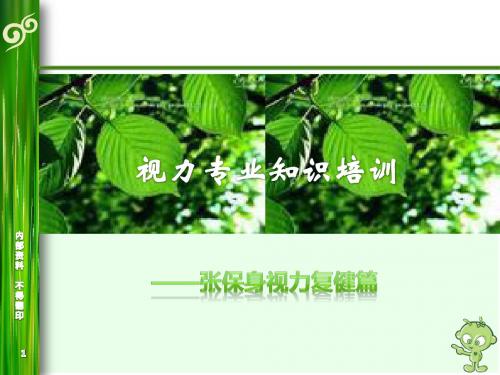 视力矫正新概念及辅助疗法