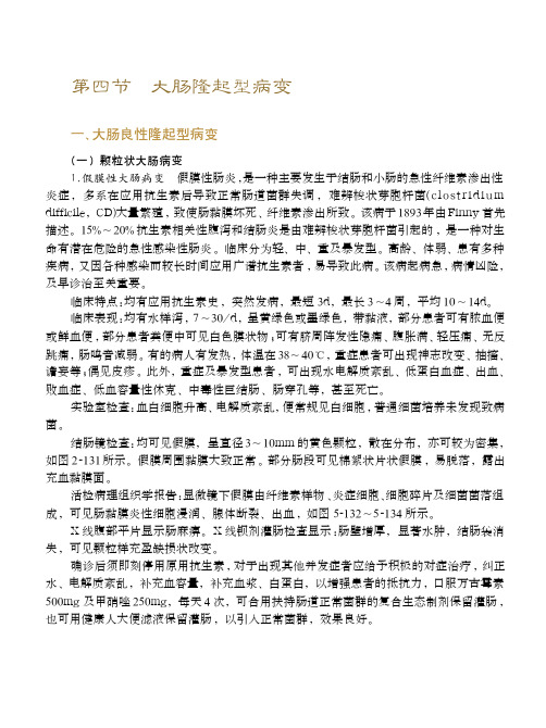 第5章大肠疾病的形态学诊断与病理(下)