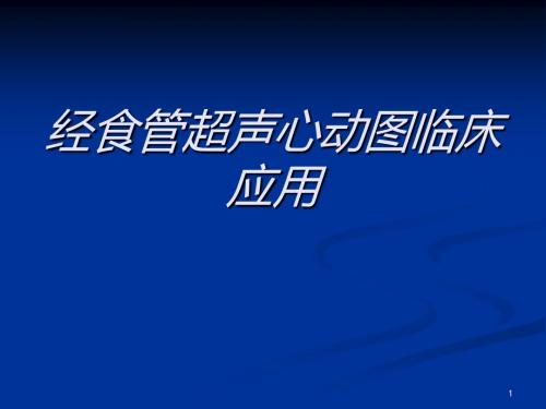 经食管超声心动图临床应用ppt课件