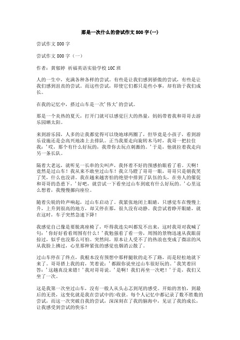 那是一次什么的尝试作文800字