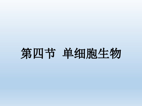 人教版七年级生物上册2.2.4单细胞生物(教学课件)