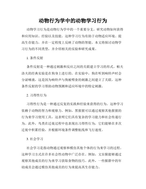 动物行为学中的动物学习行为