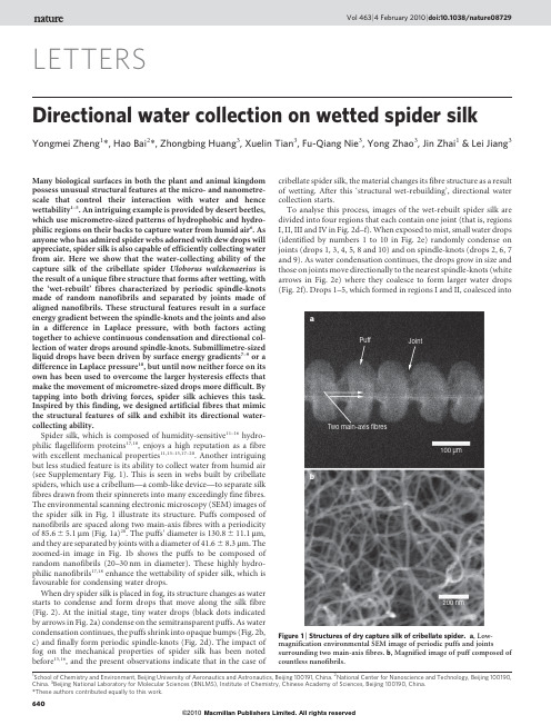 Nature2010-Directional water collection on wetted spider silk