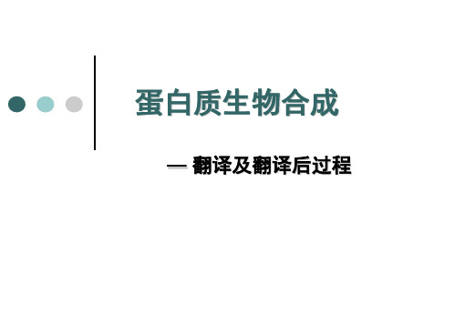 蛋白质生物合成—翻译及翻译后过程