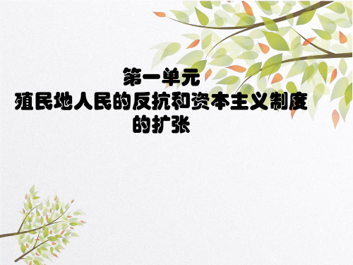 部编人教版历史九年级下册第一单元殖民地人民的反抗和资本主义制度的扩张复习课件(26张)