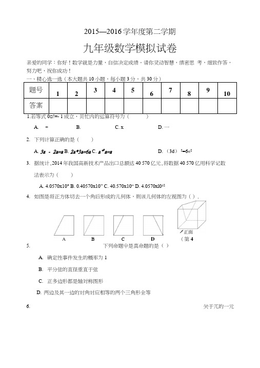 新北师大版九年级中考数学模拟试卷.docx