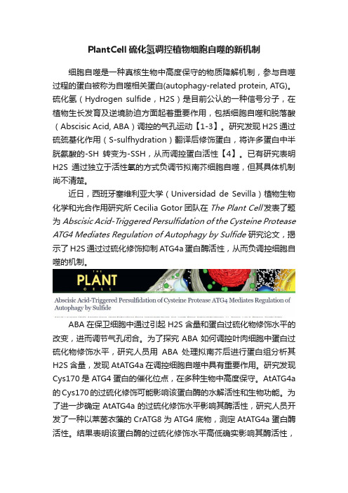 PlantCell硫化氢调控植物细胞自噬的新机制