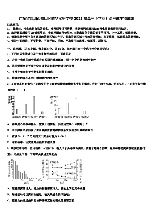 广东省深圳市福田区耀华实验学校2025届高三下学期五调考试生物试题含解析