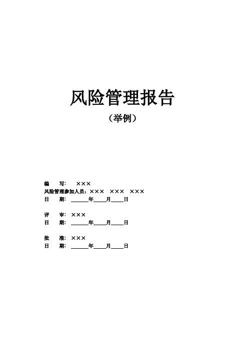 风险管理报告模板(标准)