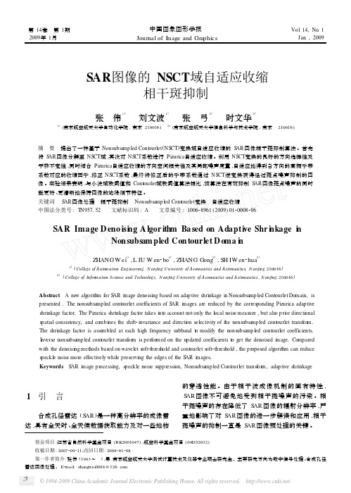 SAR图像的NSCT域自适应收缩相干斑抑制