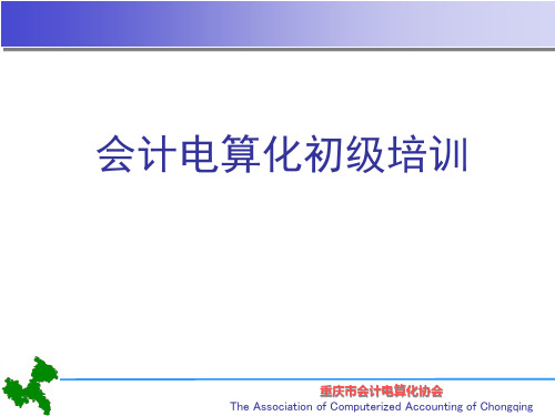 会计电算化初级培训