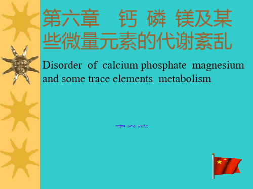 钙磷镁及某些微量元素的代谢紊乱PPT课件