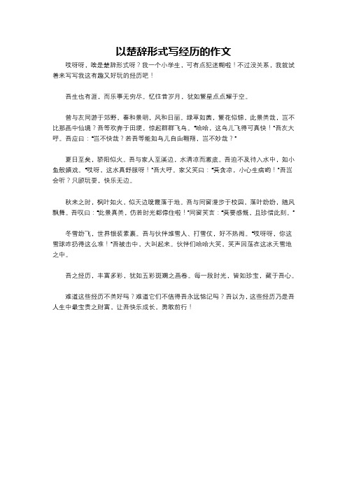 以楚辞形式写经历的作文