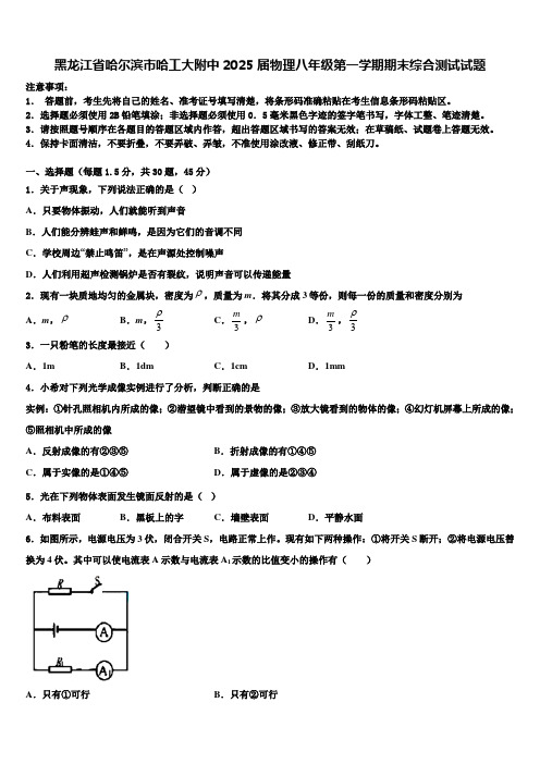 黑龙江省哈尔滨市哈工大附中2025届物理八年级第一学期期末综合测试试题含解析