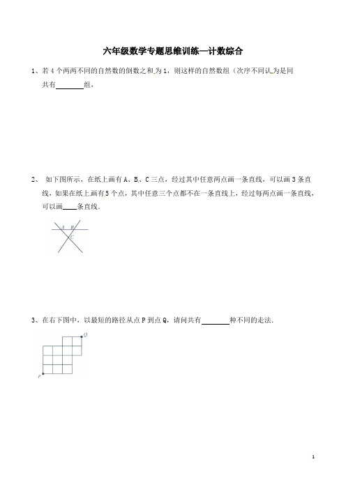 六年级数学专题思维训练—计数综合(含答案及解析)