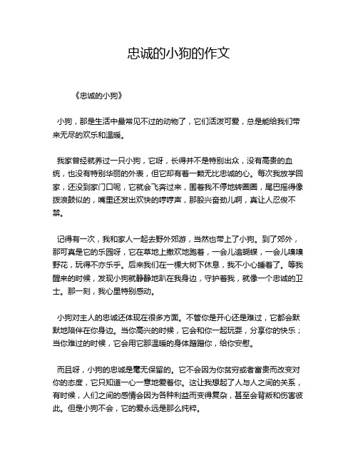 忠诚的小狗的作文