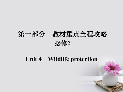 高考英语总复习-第一部分-重点全程攻略-Unit-4-Wildlife-protection-市赛课