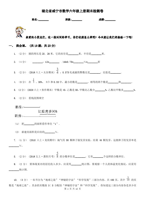 湖北省咸宁市数学六年级上册期末检测卷