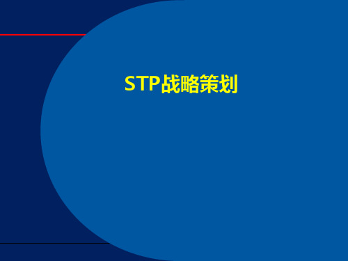 STP战略策划