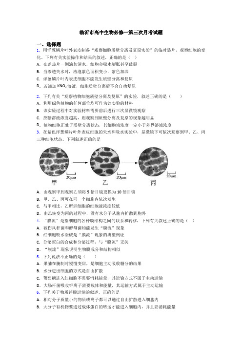 临沂市高中生物必修一第三次月考试题