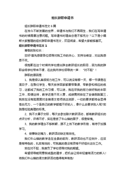 组长辞职申请书范文6篇