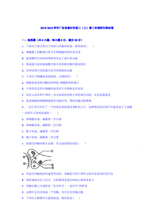 惠州市2016届高三上学期第三次调研生物试卷 含解析