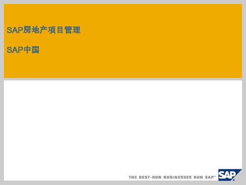 SAP房地产行业解决方案项目管理p