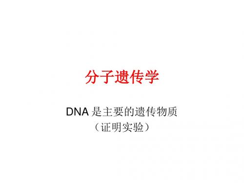 奥赛生物辅导 分子遗传学 (共33张PPT)